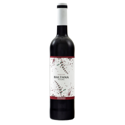 Miquel Jane Baltana Negre 2016