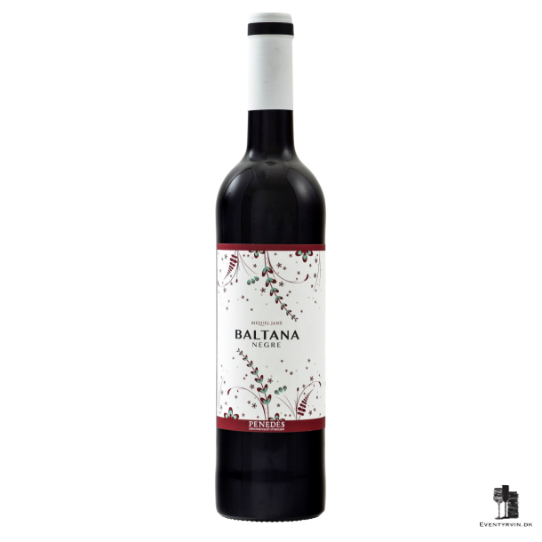 Miquel Jane Baltana Negre 2016