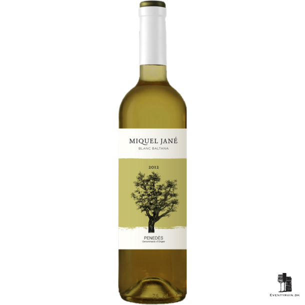 Miquel Jane Baltana Blanc