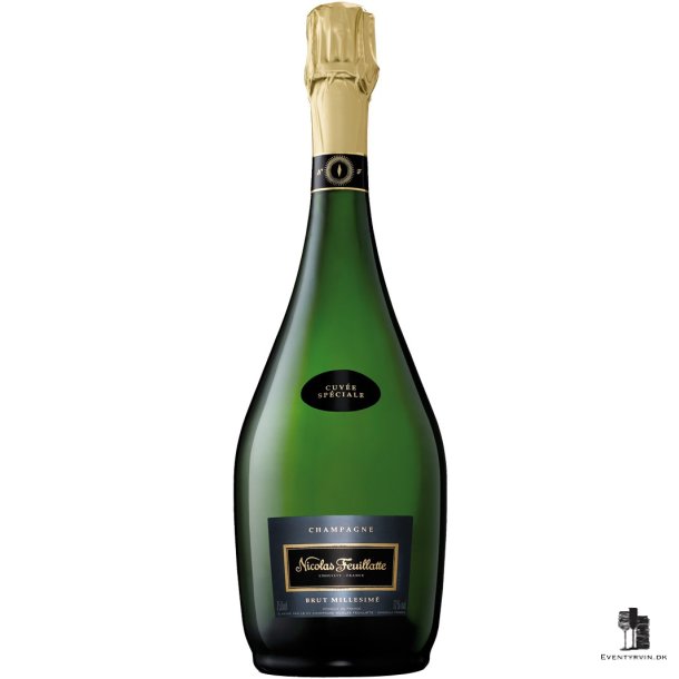 Champagne Nicolas Feuillatte Cuvee Speciale 2005