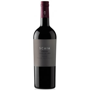 Scaia R�dvin 2017
