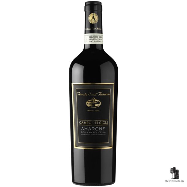 Amarone Campo Dei Gigli DOCG 2010